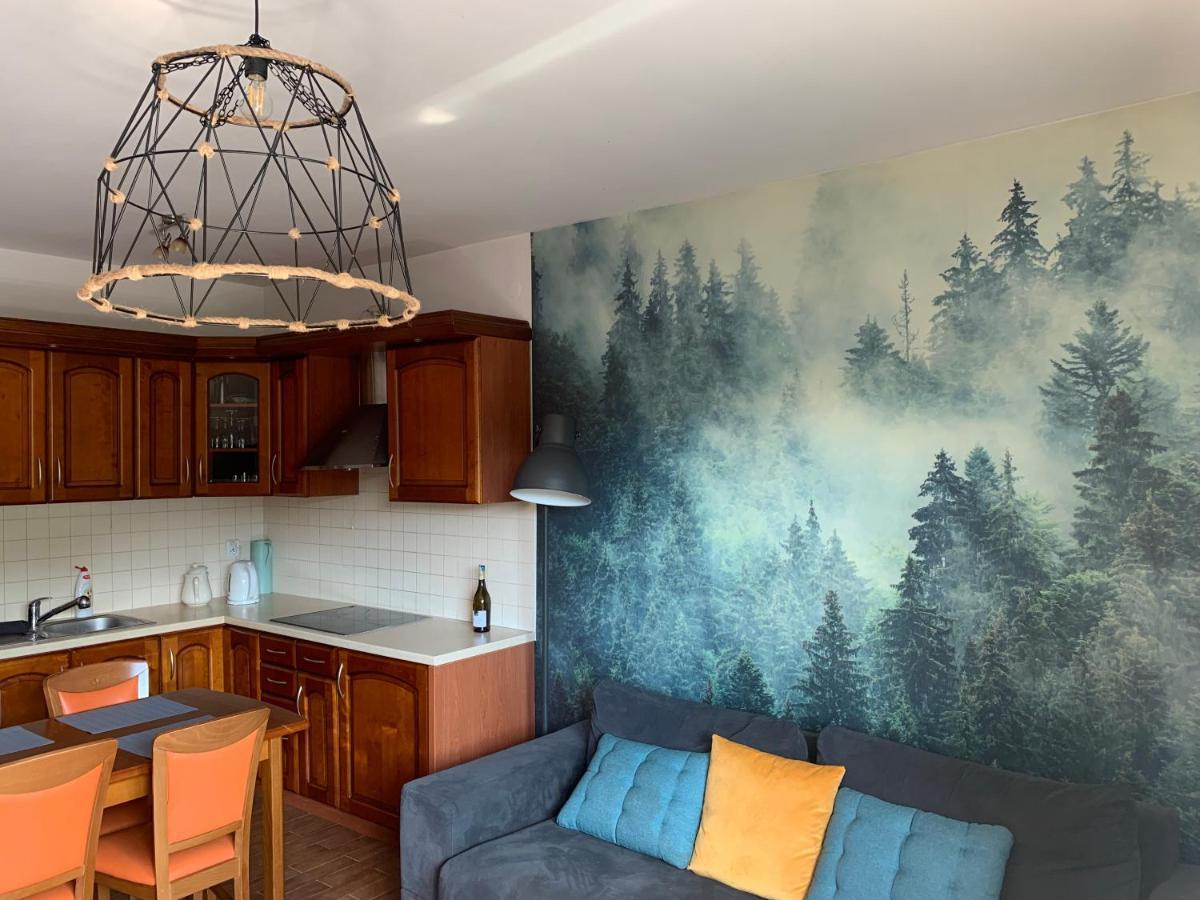 Apartament Na Wzgorzu Висла Екстериор снимка